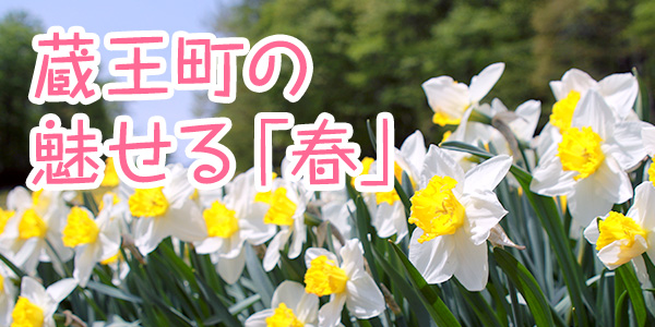 蔵王町の魅せる「春」