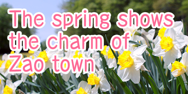 The spring shows the charm of Zao town