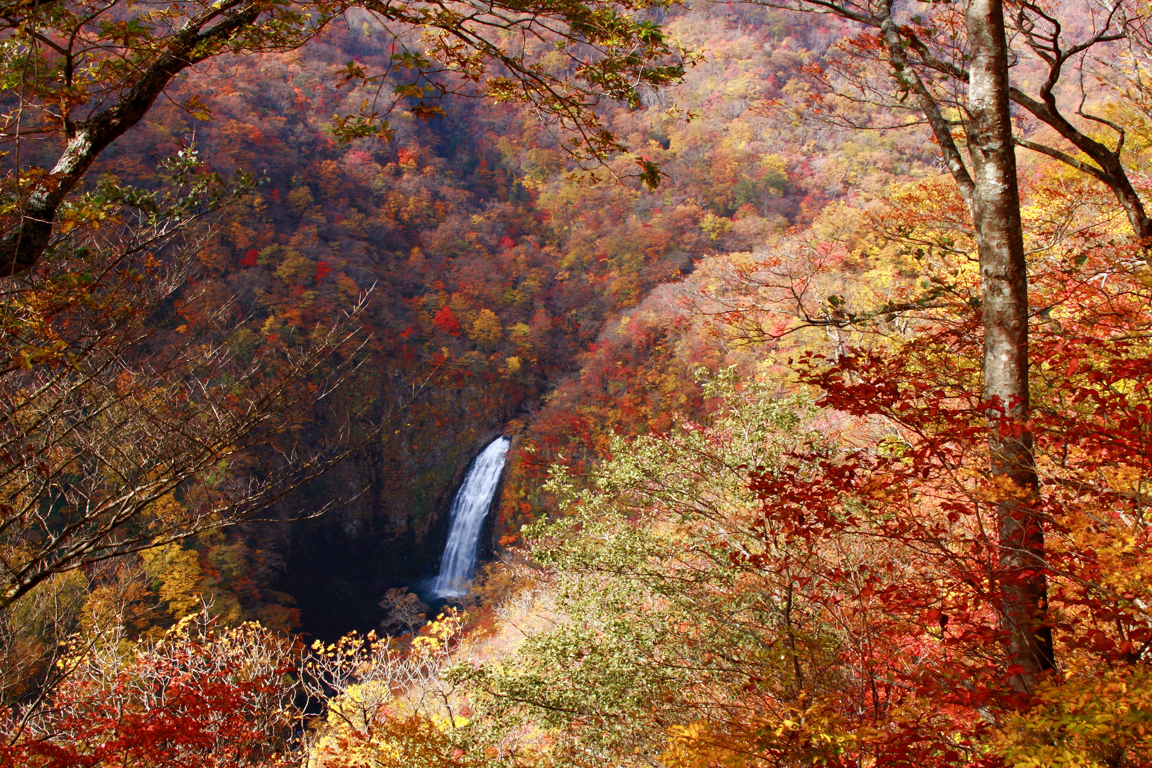 Taki Midai/Waterfall Viewing Point  (Sankai Falls & Fudou Falls)