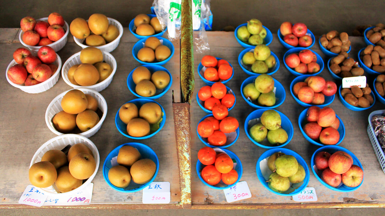 室野井果実園で梨・りんご・桃狩り体験