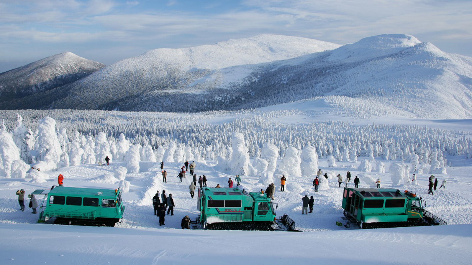 宮城藏王滑雪場SUMIKAWA雪之公園
