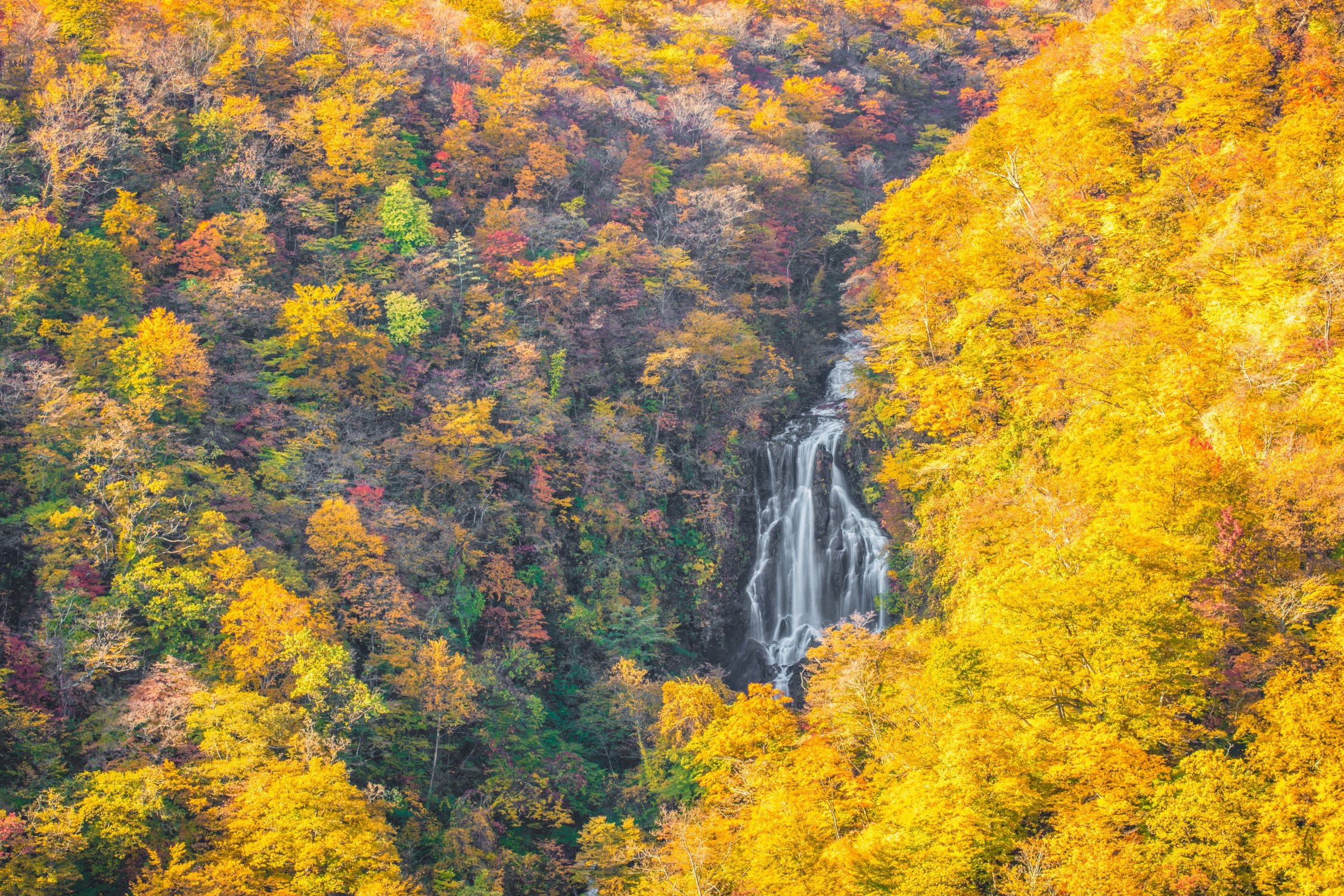 蔵王町で絶対に外せない紅葉絶景スポット「滝見台」