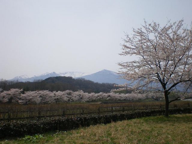 마츠가와 사방공원